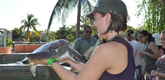 excursions in grand cayman royal caribbean