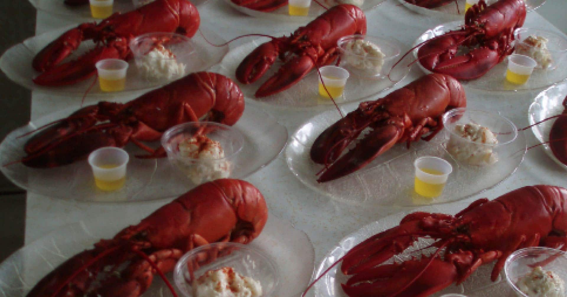 Halifax, Nova Scotia Lobster Lunch & Peggy's Cove Excursion Norwegian