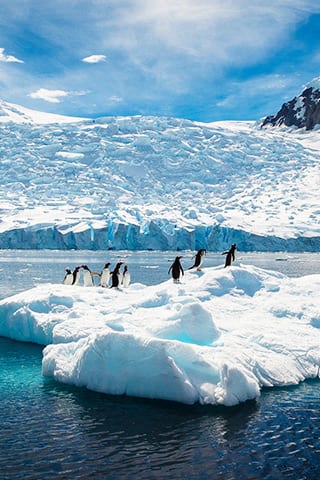 Witness icy-blue glaciers and unique wildlife in Antarctica
