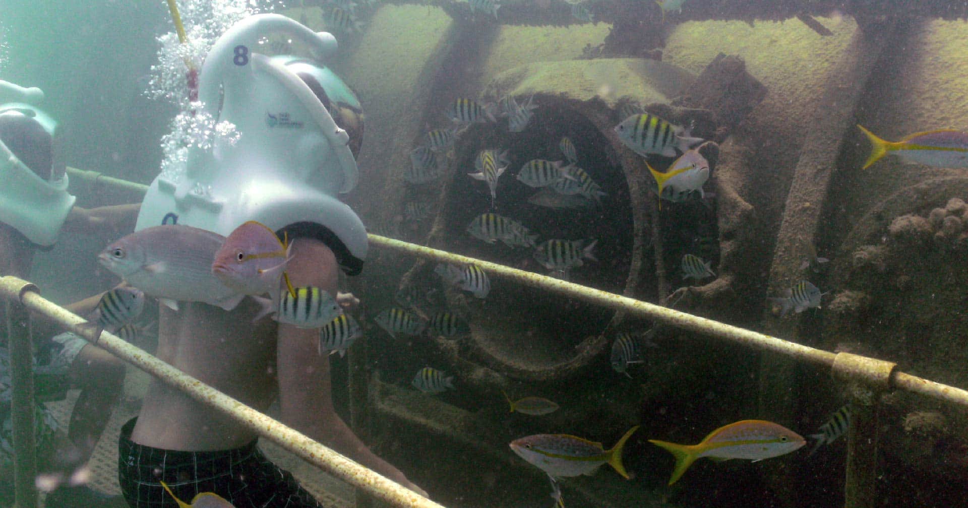 Philipsburg, St. Maarten Sea Trek Helmet Dive Excursion Norwegian