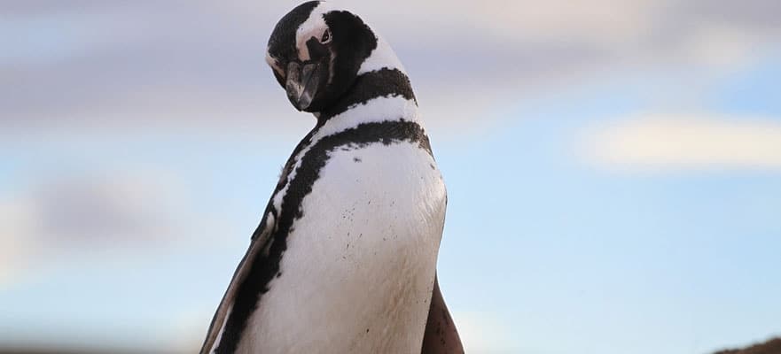 /sites/default/files/puerto-madryn-881.jpg
