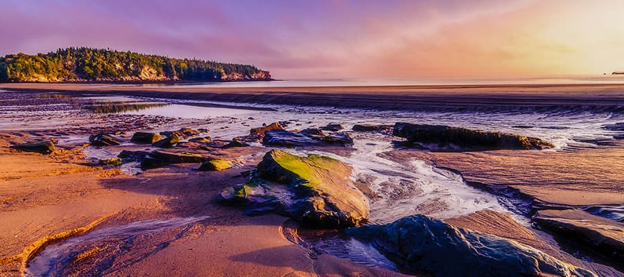 Cruzeiros para Saint John (Baía de Fundy), New Brunswick