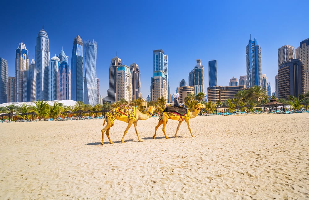 Cruzeiro para Dubai