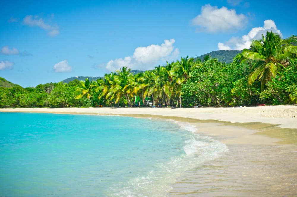 Pristine Beach in Tortola