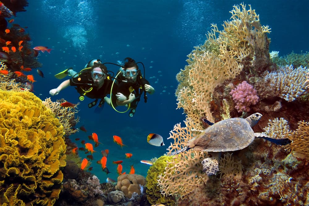 Try SCUBA Diving in Bermuda on a Cruise with Norwegian Try SCUBA Diving in Bermuda on a Cruise with Norwegian