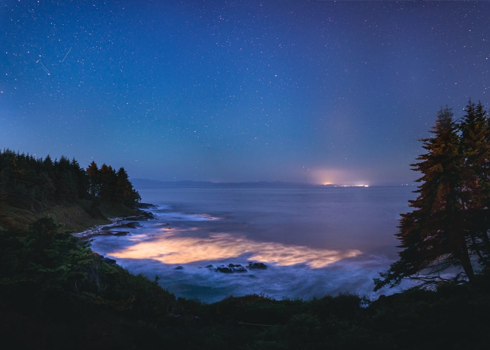 Bioluminescence in the Ocean