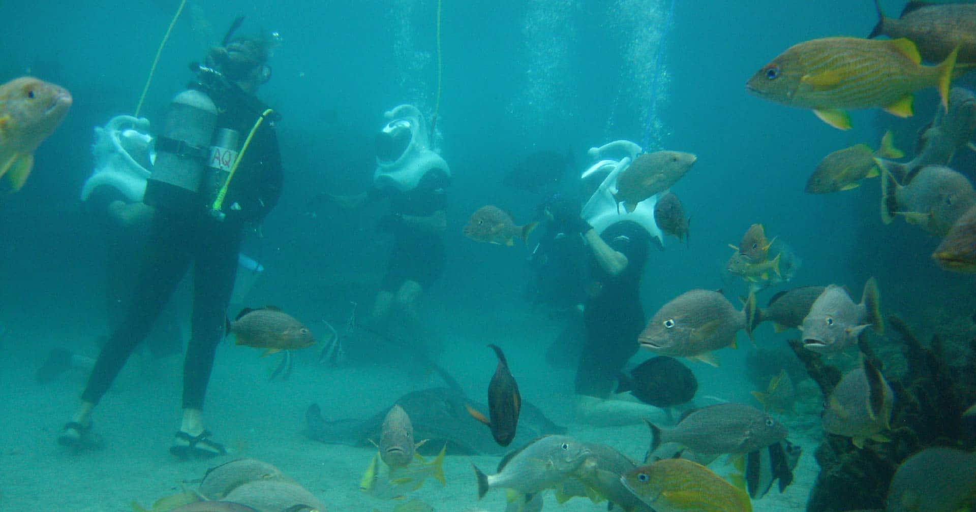 St. Thomas, US Virgin Islands Sea Trekkin' Helmet Dive Excursion