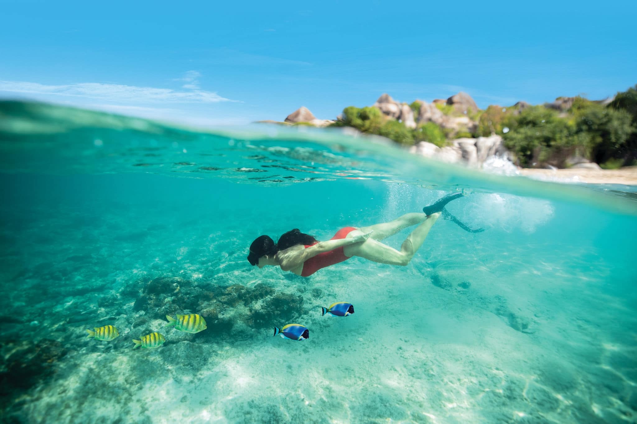 NCL-Western-Caribbean-Cruise-Tortola-Split-Snorkling-Woman NCL Western Caribbean Tortola Split Snorkling Woman