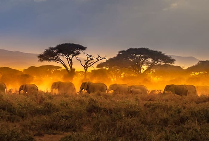 Cruise to Africa with Norwegian Cruise Line